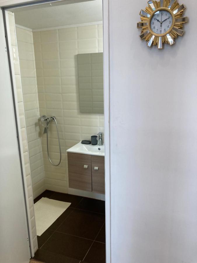 Roland Apartment Downtown - Keleti ブダペスト エクステリア 写真